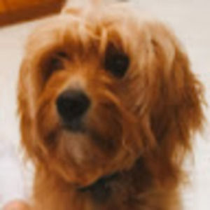 Meet your Posher, Leyla